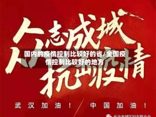 国内的疫情控制比较好的省/全国疫情控制比较好的地方