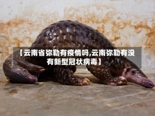 【云南省弥勒有疫情吗,云南弥勒有没有新型冠状病毒】