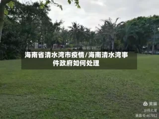海南省清水湾市疫情/海南清水湾事件政府如何处理