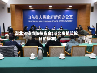 湖北省疫情防控资金(湖北疫情防控补助标准)