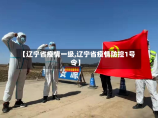 【辽宁省疫情一级,辽宁省疫情防控1号令】