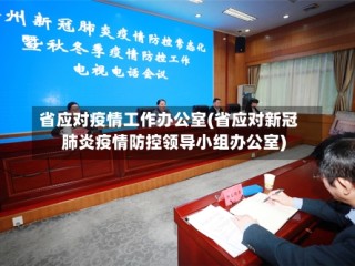 省应对疫情工作办公室(省应对新冠肺炎疫情防控领导小组办公室)