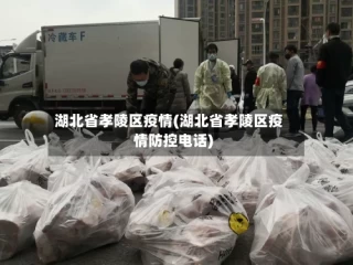 湖北省孝陵区疫情(湖北省孝陵区疫情防控电话)