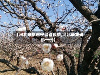 【河北辛集市宁普省疫情,河北辛集确诊一例】