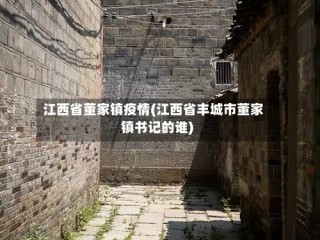 江西省董家镇疫情(江西省丰城市董家镇书记的谁)