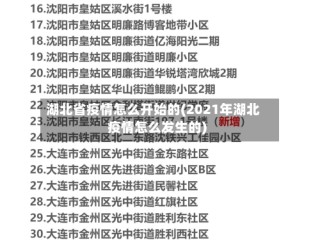 湖北省疫情怎么开始的(2021年湖北疫情怎么发生的)