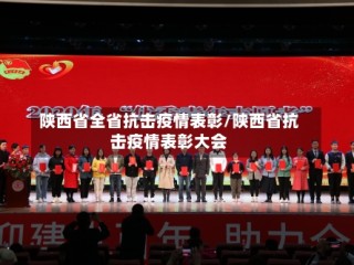 陕西省全省抗击疫情表彰/陕西省抗击疫情表彰大会