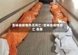 吉林省疫情有无死亡/吉林省疫情死亡 名单