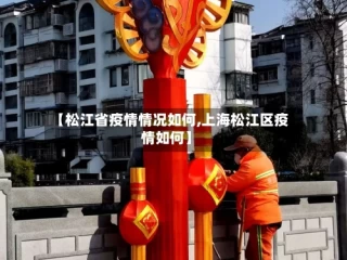 【松江省疫情情况如何,上海松江区疫情如何】