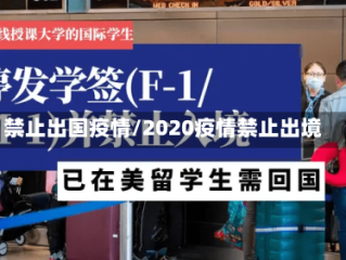 禁止出国疫情/2020疫情禁止出境