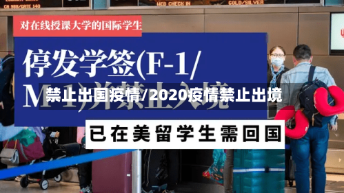 禁止出国疫情/2020疫情禁止出境
