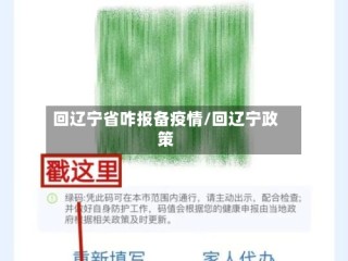 回辽宁省咋报备疫情/回辽宁政策