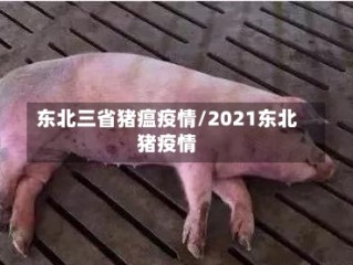 东北三省猪瘟疫情/2021东北猪疫情