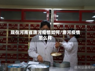 现在河南省唐河疫情如何/唐河疫情怎么样