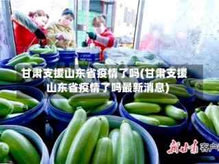 甘肃支援山东省疫情了吗(甘肃支援山东省疫情了吗最新消息)