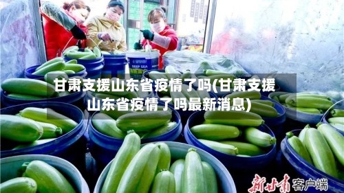 甘肃支援山东省疫情了吗(甘肃支援山东省疫情了吗最新消息)