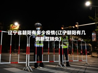 辽宁省朝阳有多少疫情(辽宁朝阳有几例新型肺炎)
