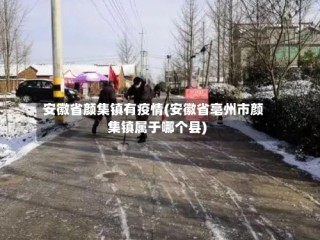 安徽省颜集镇有疫情(安徽省亳州市颜集镇属于哪个县)