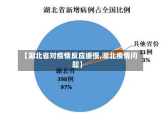 【湖北省对疫情反应缓慢,湖北疫情问题】
