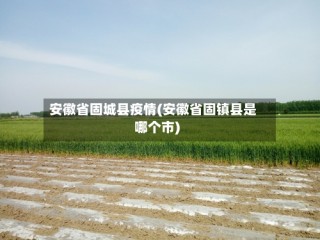 安徽省固城县疫情(安徽省固镇县是哪个市)