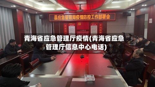 青海省应急管理厅疫情(青海省应急管理厅信息中心电话)