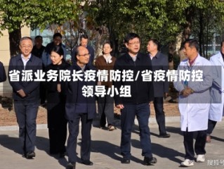 省派业务院长疫情防控/省疫情防控领导小组