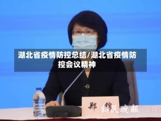 湖北省疫情防控总结/湖北省疫情防控会议精神