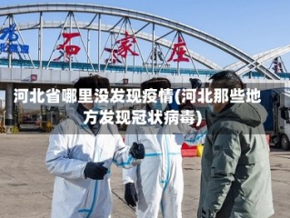 河北省哪里没发现疫情(河北那些地方发现冠状病毒)