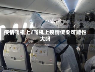 疫情飞机上/飞机上疫情传染可能性大吗