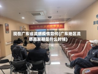 现在广东省流感疫情如何(广东地区流感高发期是什么时候)