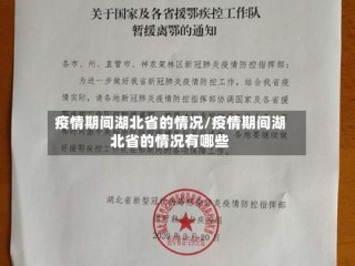 疫情期间湖北省的情况/疫情期间湖北省的情况有哪些