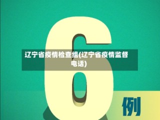辽宁省疫情检查组(辽宁省疫情监督电话)