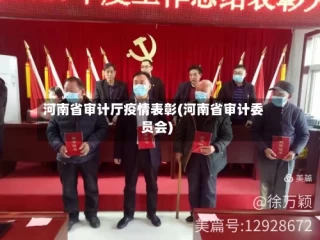 河南省审计厅疫情表彰(河南省审计委员会)