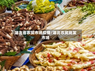 湖北省农贸市场疫情/湖北农贸批发市场