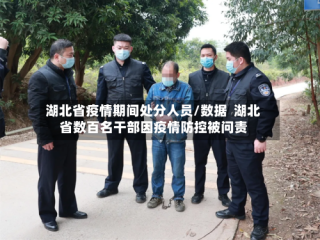 湖北省疫情期间处分人员/数据  湖北省数百名干部因疫情防控被问责