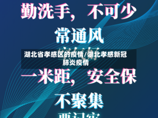 湖北省孝感区的疫情/湖北孝感新冠肺炎疫情