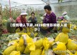【疫情收入下降,2020疫情影响收入减少】