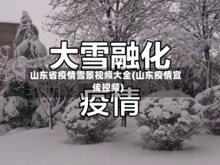 山东省疫情雪景视频大全(山东疫情宣传视频)