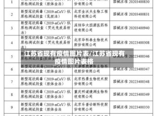 江苏省现有疫情图片表/江苏省现有疫情图片表格