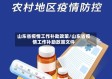 山东省疫情工作补助政策/山东省疫情工作补助政策文件