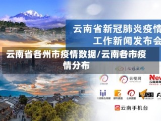 云南省各州市疫情数据/云南各市疫情分布