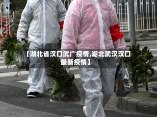 【湖北省汉口武广疫情,湖北武汉汉口最新疫情】