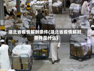 湖北省疫情解封条件(湖北省疫情解封条件是什么)