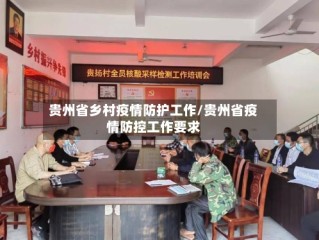 贵州省乡村疫情防护工作/贵州省疫情防控工作要求