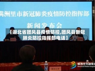 【湖北省团风县疫情防控,团风县新冠肺炎防控指挥部电话】