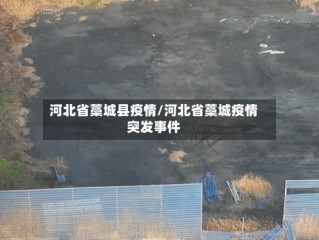 河北省藁城县疫情/河北省藁城疫情突发事件