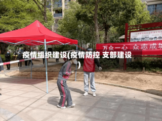 疫情组织建设(疫情防控 支部建设)
