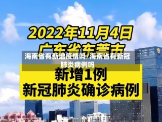 海南省有新增疫情吗/海南省有新冠肺炎病例吗