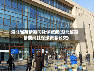 湖北省疫情期间社保缴费(湖北省疫情期间社保缴费怎么交)