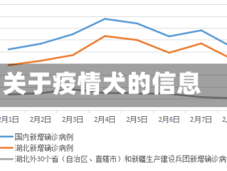 关于疫情犬的信息